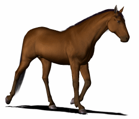 horse-walking-gif-animation2 22